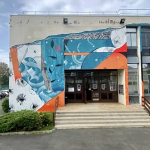 fresque street-art maison du theatre et de la danse